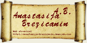Anastasija Brezičanin vizit kartica